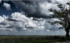 Мінлива хмарність: прогноз погоди на Волині на 26 квітня