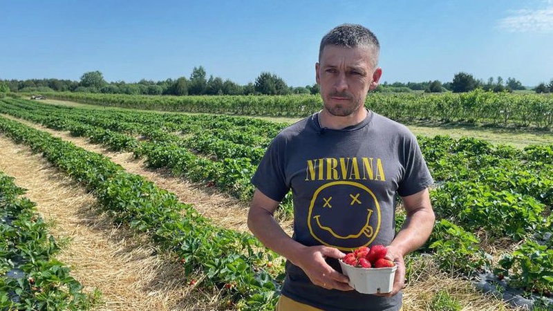 На Волині воїн АТО вирощує полуницю