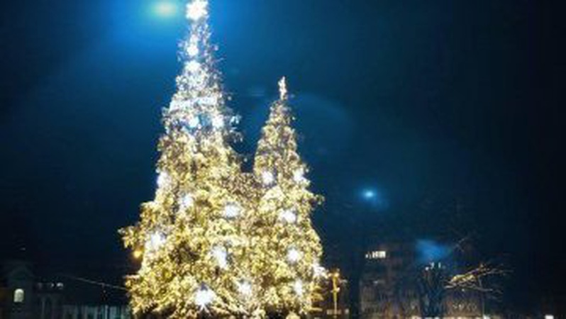 Розповіли, якою буде цьогоріч новорічна ялинка у Луцьку