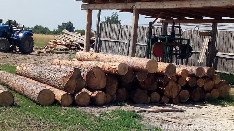 На підприємстві мешканця Ківерцівщини виявили пів сотні колод незаконної деревини