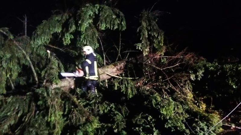 Волинські рятувальники ліквідували наслідки вчорашньої негоди. ФОТО