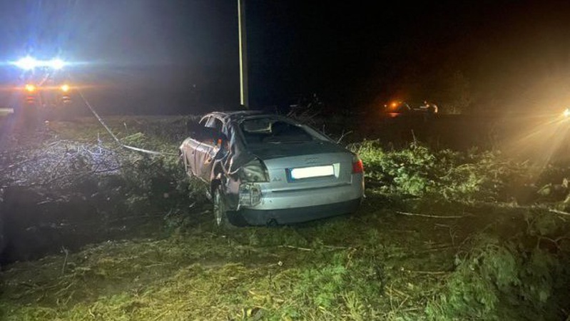 На Волині Audi злетів з дороги: двоє людей потрапили до лікарні