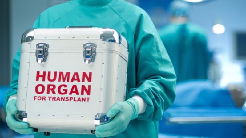 У світі відзначають День донорства та трансплантології. ВІДЕО