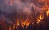 Волинянин спалив 14 гектарів лісу і відсидить 6 років за ґратами