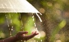Дощі, подекуди грози в низці областей: прогноз погоди на 23 травня