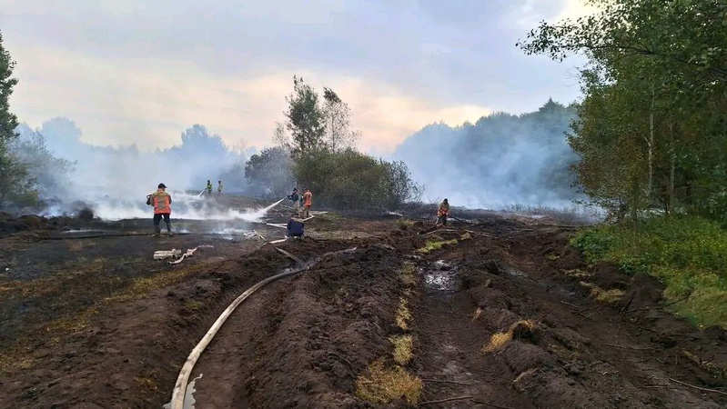 Волинські рятувальники ліквідували одну пожежу торфу, ще одну локалізовано. ФОТО