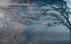 Хмарність, місцями сильні пориви вітру: прогноз погоди на 3 листопада