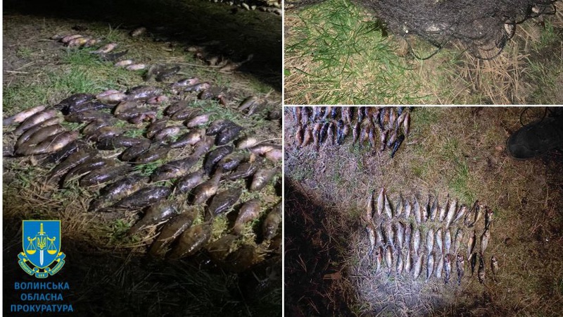 Незаконно наловив риби майже на мільйон гривень: волинянин постане перед судом. ФОТО