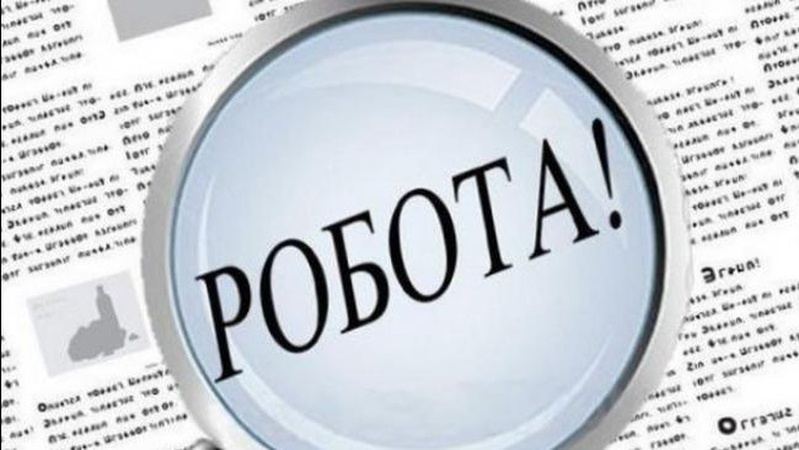 Робота у Володимирі та громаді: міськрада опублікувала низку вакансій (ПЕРЕЛІК)
