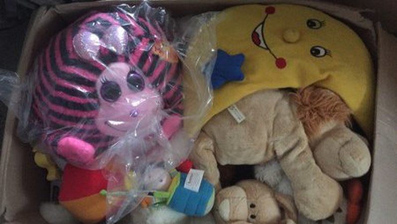 Волинська митниця оголосила перший митний аукціон із продажу дитячих іграшок