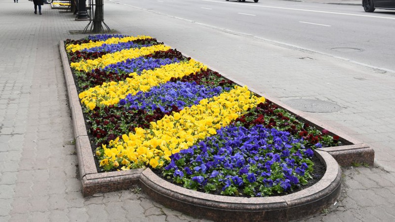 В Луцьку планують посадити 150 тисяч саджанців квітів