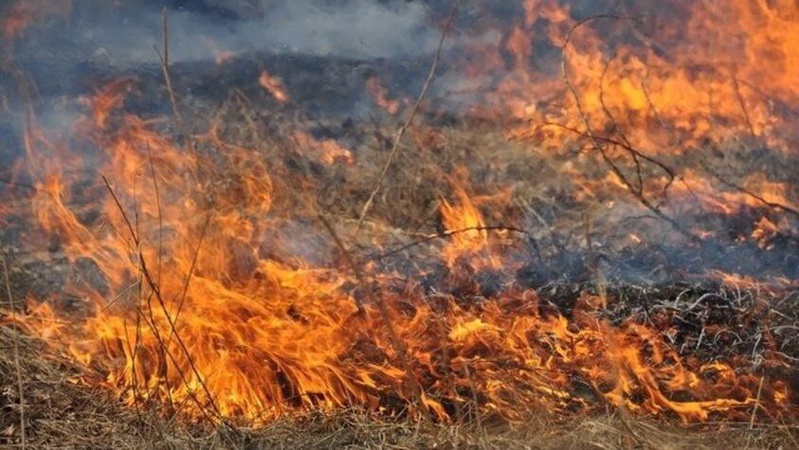 За добу на Волині ліквідували три пожежі сухостою