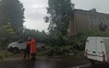 У Володимирі буревій зривав дахи і ламав дерева. ФОТО. ВІДЕО