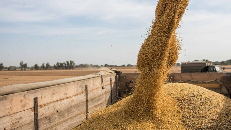 Заборона на імпорт зерна: Єврокомісія стала на захист України