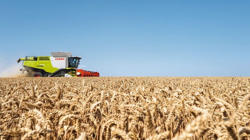 На Волині приватне підприємство засіяло 14 га пшеницею без належних документів