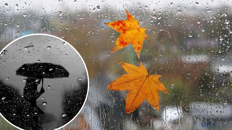 Частину України накриє дощ, а місцями навіть мокрий сніг: прогноз погоди на 14 листопада