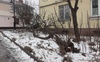 В історичній частині Луцька впало дерево