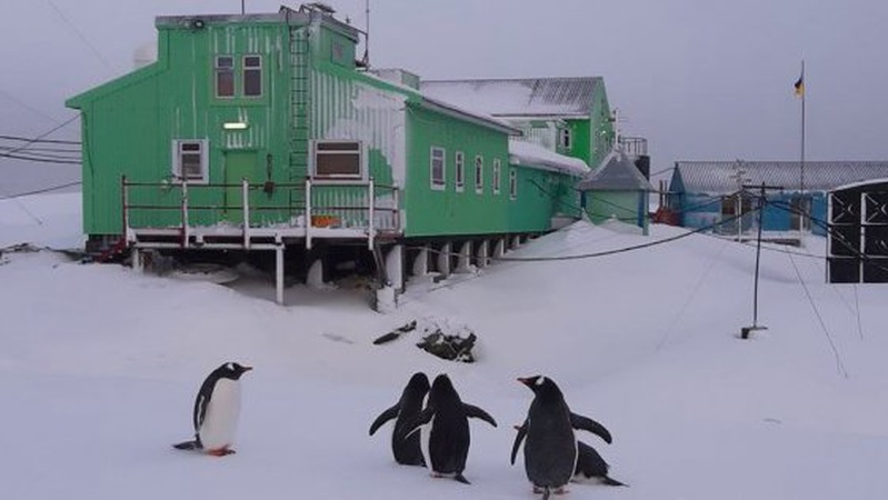 54 тисячі гривень зарплати в місяць: шукають кандидатів для роботи на антарктичній станції