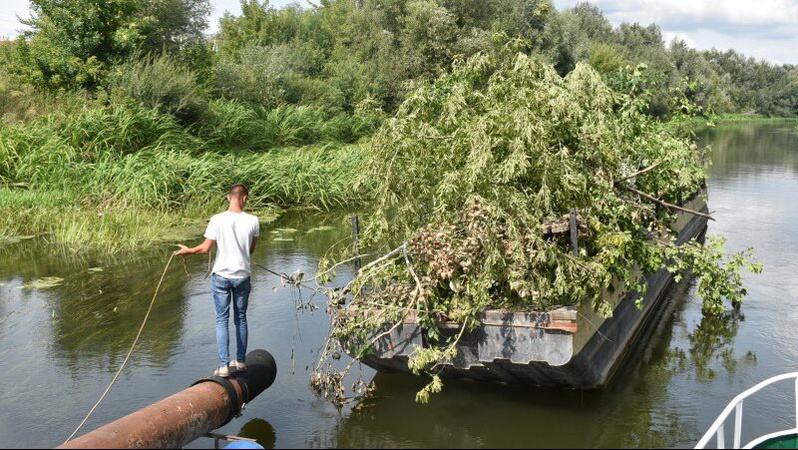 У Луцьку розчищають річку Стир від дерев. ФОТО