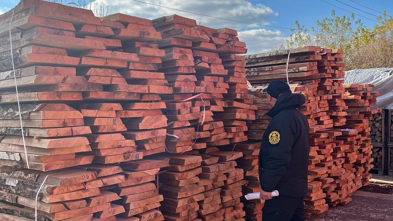 На «Ягодині» зупинили підприємця, який хотів незаконно вивезти з України лісоматеріали. ФОТО