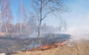За минулу добу на Волині працівники державної лісової охорони затримували паліїв та гасили масштабні пожежі