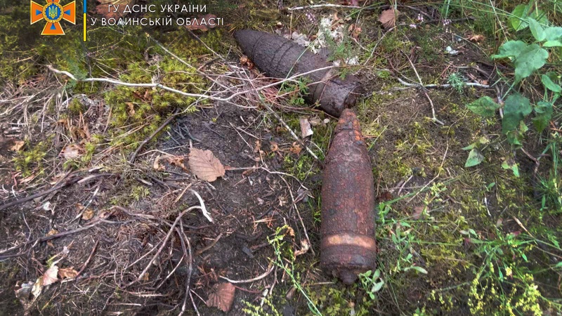 Волинянин знайшов артилерійські снаряди замість грибів