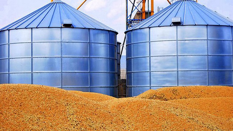 Росіяни вивезли з окупованих територій третину запасів зерна — майже пів мільйона тонн