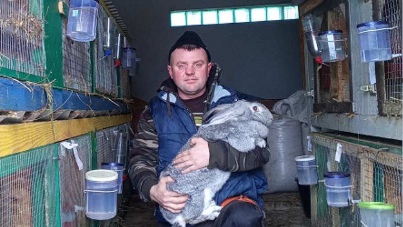 Волинянин тримає кролів з десяти років
