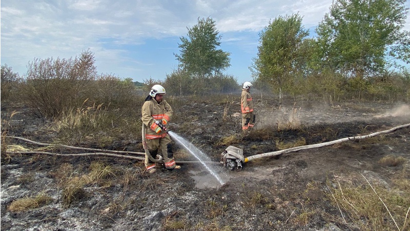 Волинські рятувальники ліквідували кілька пожеж на відкритих територіях