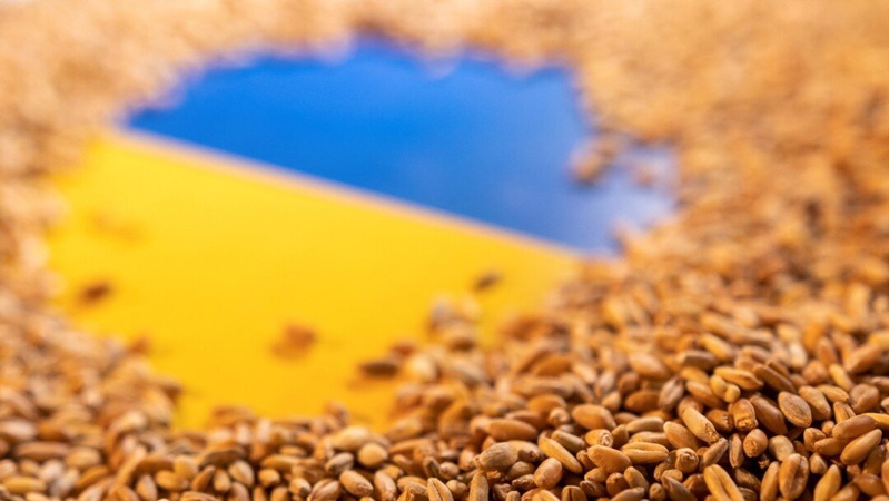 Україна назвала головну умову для відновлення експорту зерна