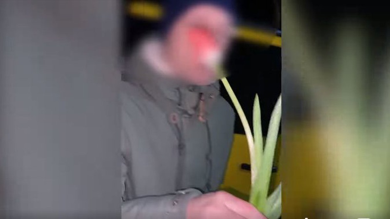 Прикордонники роздали тюльпани пійманим уклоністам