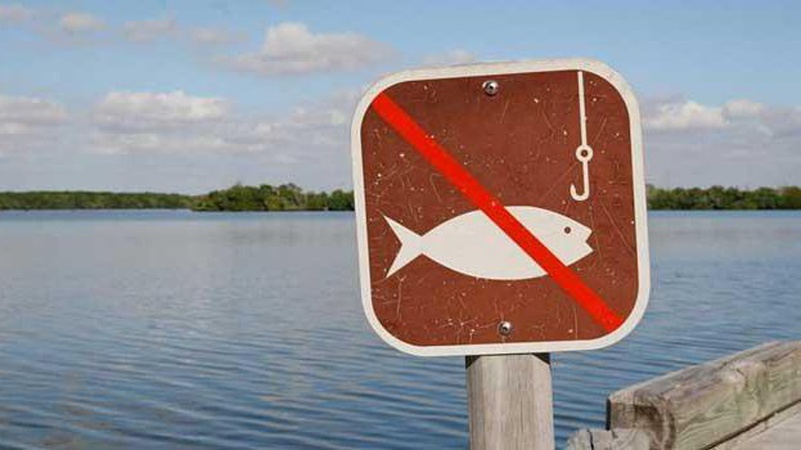 З 11 квітня на Волині заборонять ловити рибу