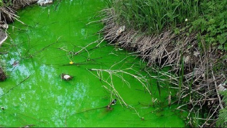 У «Луцьктеплі» пояснили, чому у Сапалаївку стікає зелена вода