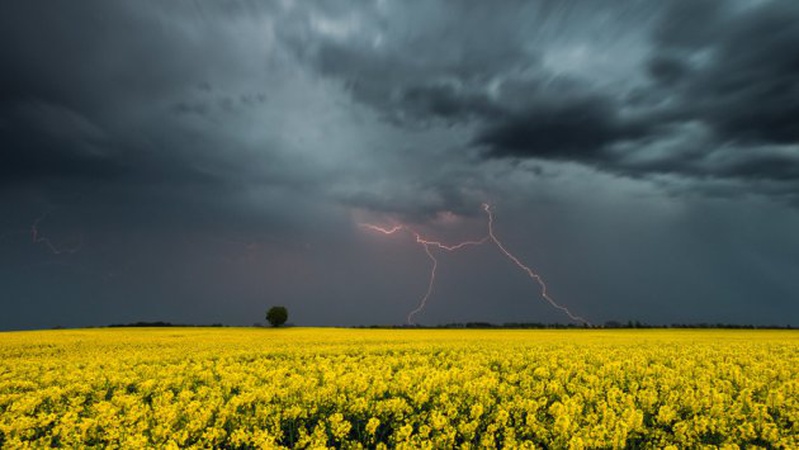 В Україні подекуди дощі та грози, на півдні - до 30°: прогноз погоди на 6 серпня