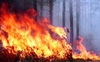 У районі Чорнобильської АЕС горять понад 10 тисяч гектарів лісу