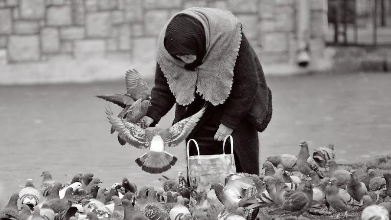 Бабуся, яка годувала голубів у Луцьку: розповіли про померлу схимонахиню Єву