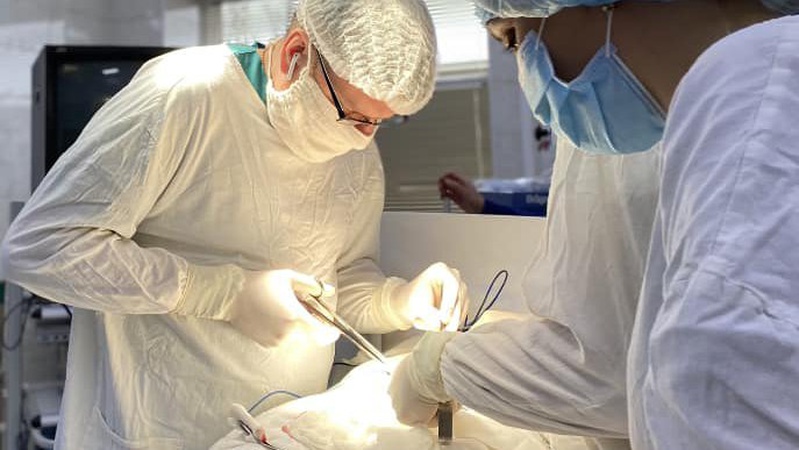 Волинські хірурги видалили пацієнтці величезний камінь з жовчного міхура