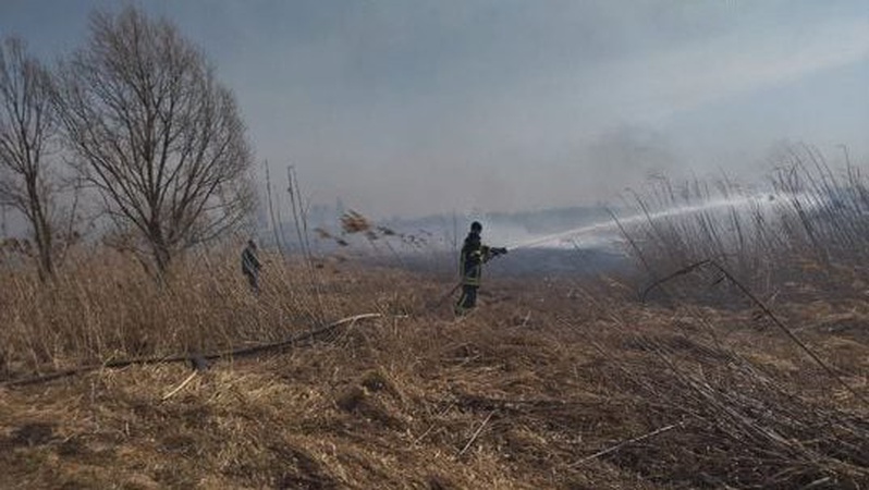 На Волині за вихідні рятувальники ліквідували 11 пожеж