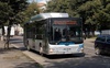На маршрут №12 у Луцьку замість 12 малих виїхали 6 великих автобусів. ФОТО
