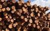 Кабмін заборонив експорт паливної деревини