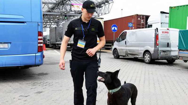 Винюхує «наркоту»: на волинському кордоні служить чорний Марс