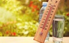 Спека до 37 градусів повертається: прогноз погоди в Україні на 7 липня
