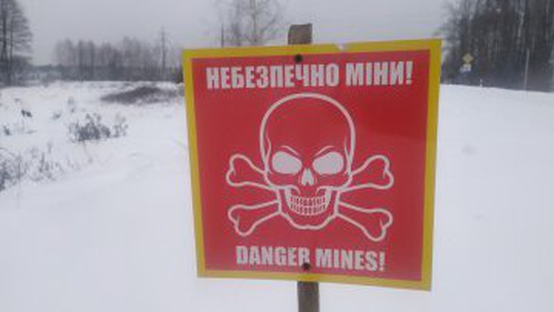Волинян закликають не ходити в ліс за ялинкою поблизу кордону з Білоруссю