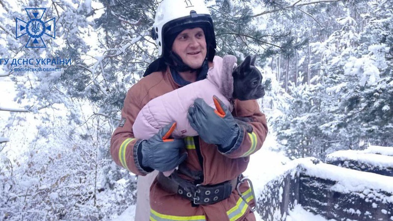 На Волині ДСНС врятували собаку, що впав у глибоку яму