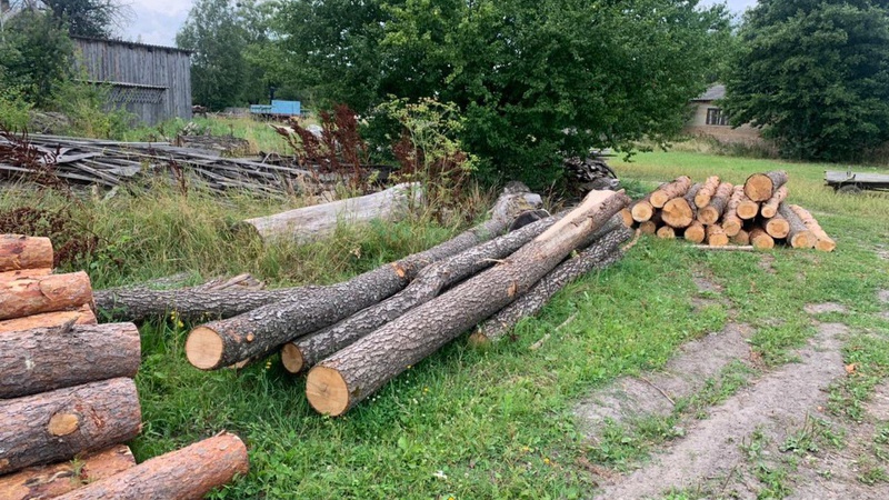На Волині виявили незаконне зберігання деревини підприємцями