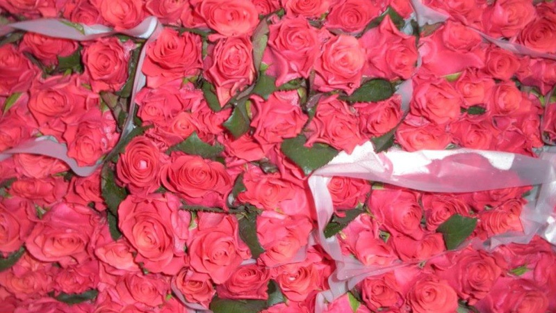 Волинська митниця виставила на продаж квіти на суму майже 1,5 мільйона гривень