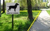Луцькрада розгляне петицію про створення майданчиків для вигулу собак