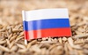 Польща вимагає заборонити російську агропродукцію в Європі, бо потреби в ній немає