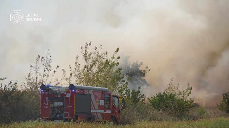 На околицях Луцька горіла суха трава на площі більше 2,5 гектара