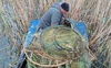 Екологи витягнули з озера Світязь понад 40 заборонених ятерів